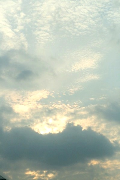 d0141239_19401383.jpg