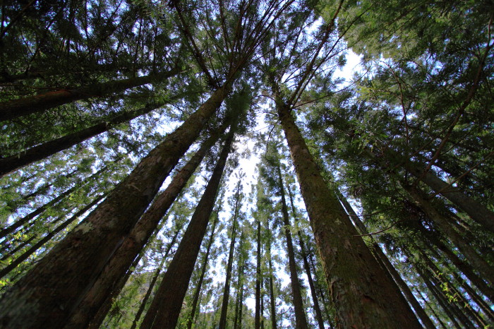 f0215041_2242983.jpg