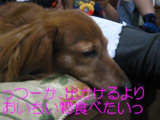 c0206342_1942408.jpg