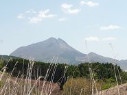 c0057946_61130.jpg