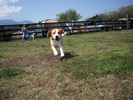 b0005652_21225259.jpg
