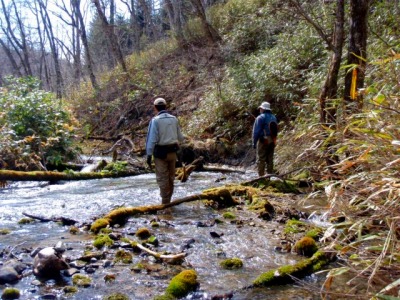 c0097652_15471016.jpg