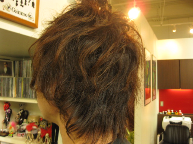 ヘアスタイルダイジェスト2_e0153952_1885385.jpg