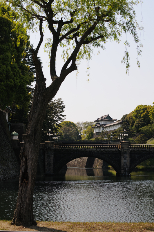 f0020152_20134533.jpg