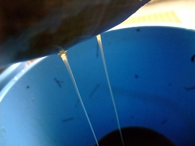 f0205857_163553100.jpg