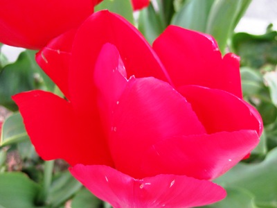 c0190960_20103587.jpg