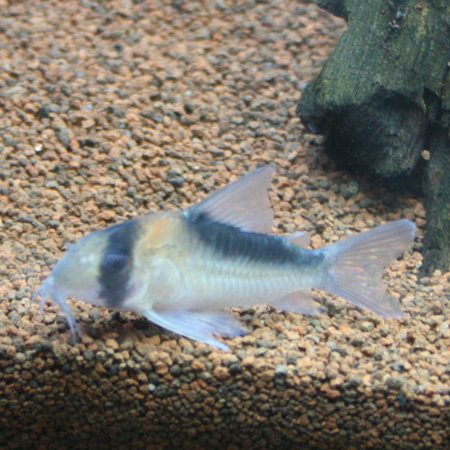 a0162263_22471472.jpg