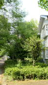 a0153065_21265847.jpg