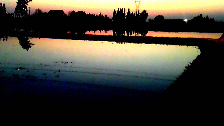 a0097967_2071436.jpg