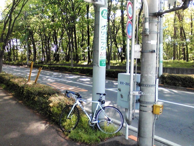 f0036670_17334275.jpg