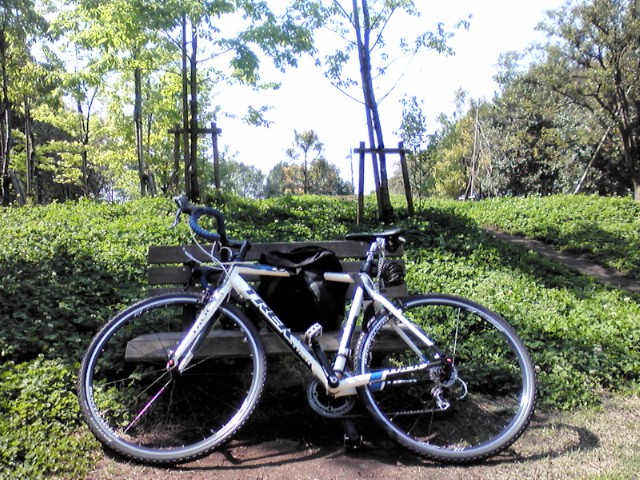 f0036670_17362585.jpg