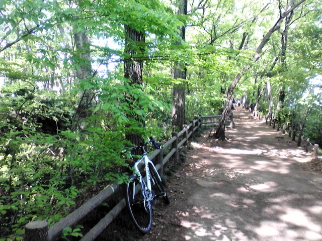 f0036670_17391583.jpg