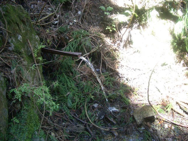 c0206177_651816.jpg
