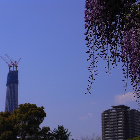d0043280_16361917.jpg