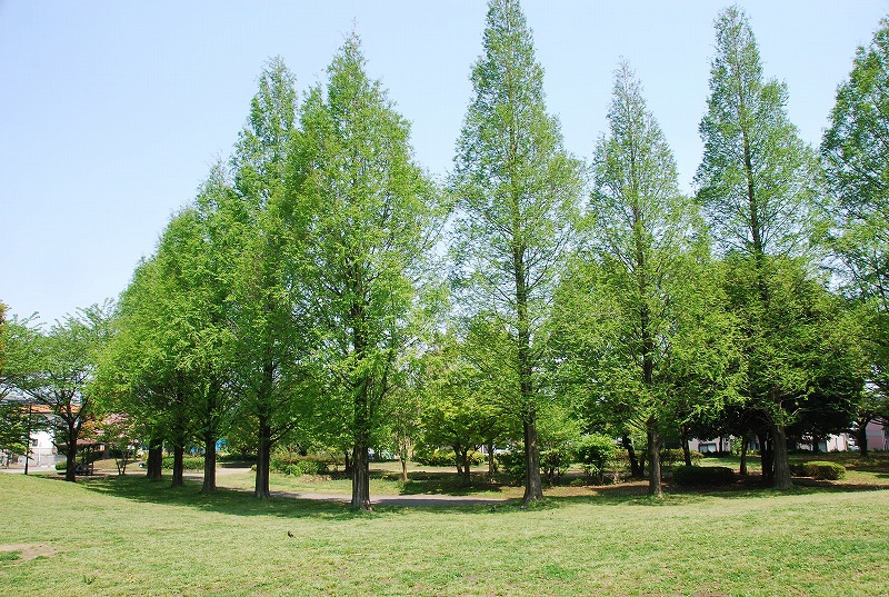 c0187781_17944.jpg