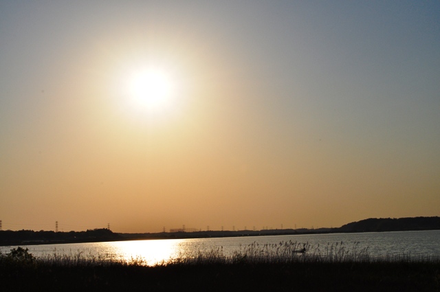 夕陽に包まれて_a0126590_1517132.jpg