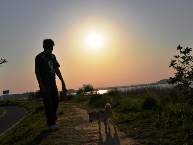 夕陽に包まれて_a0126590_1518290.jpg