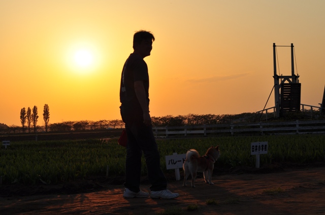 夕陽に包まれて_a0126590_23382034.jpg