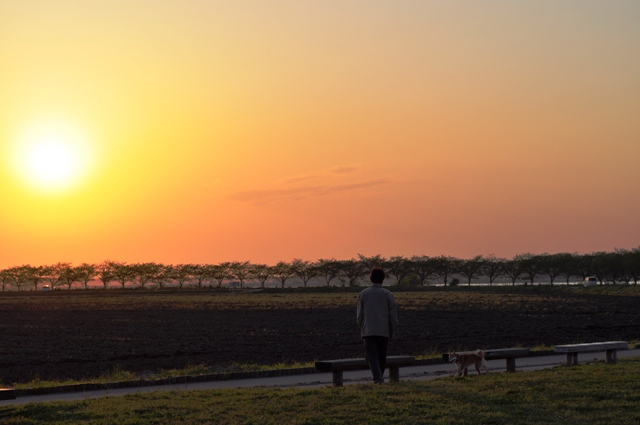 夕陽に包まれて_a0126590_23425637.jpg