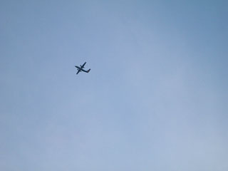 f0220791_1719955.jpg
