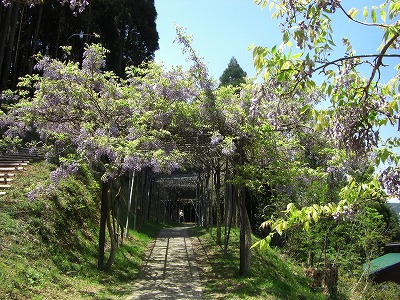 c0125501_1322116.jpg
