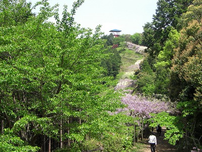 c0125501_13243280.jpg