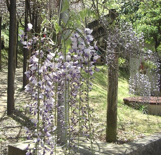 c0125501_14124690.jpg