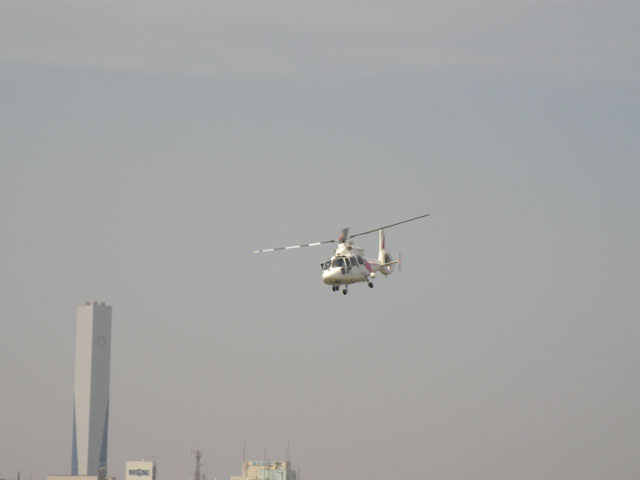 d0004301_2313595.jpg