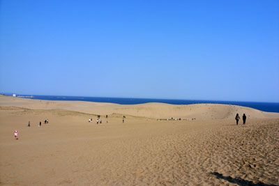 d0090101_1936357.jpg