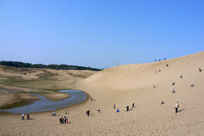 d0090101_19364273.jpg