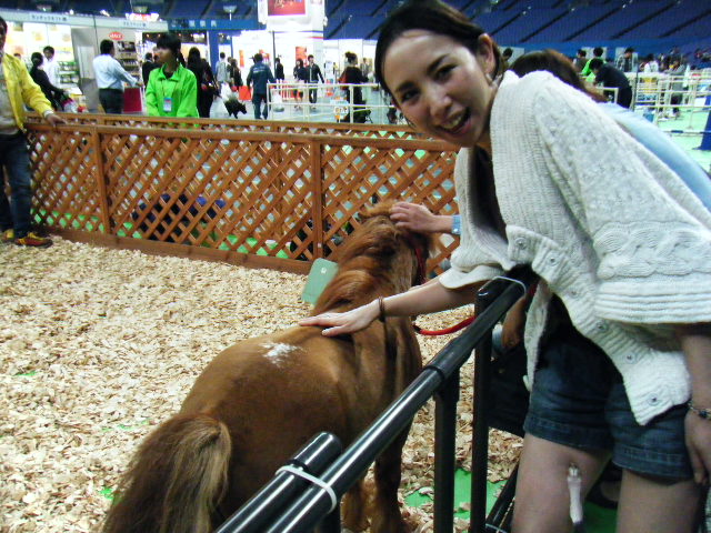 a0050302_541489.jpg