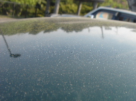 c0047602_19344169.jpg