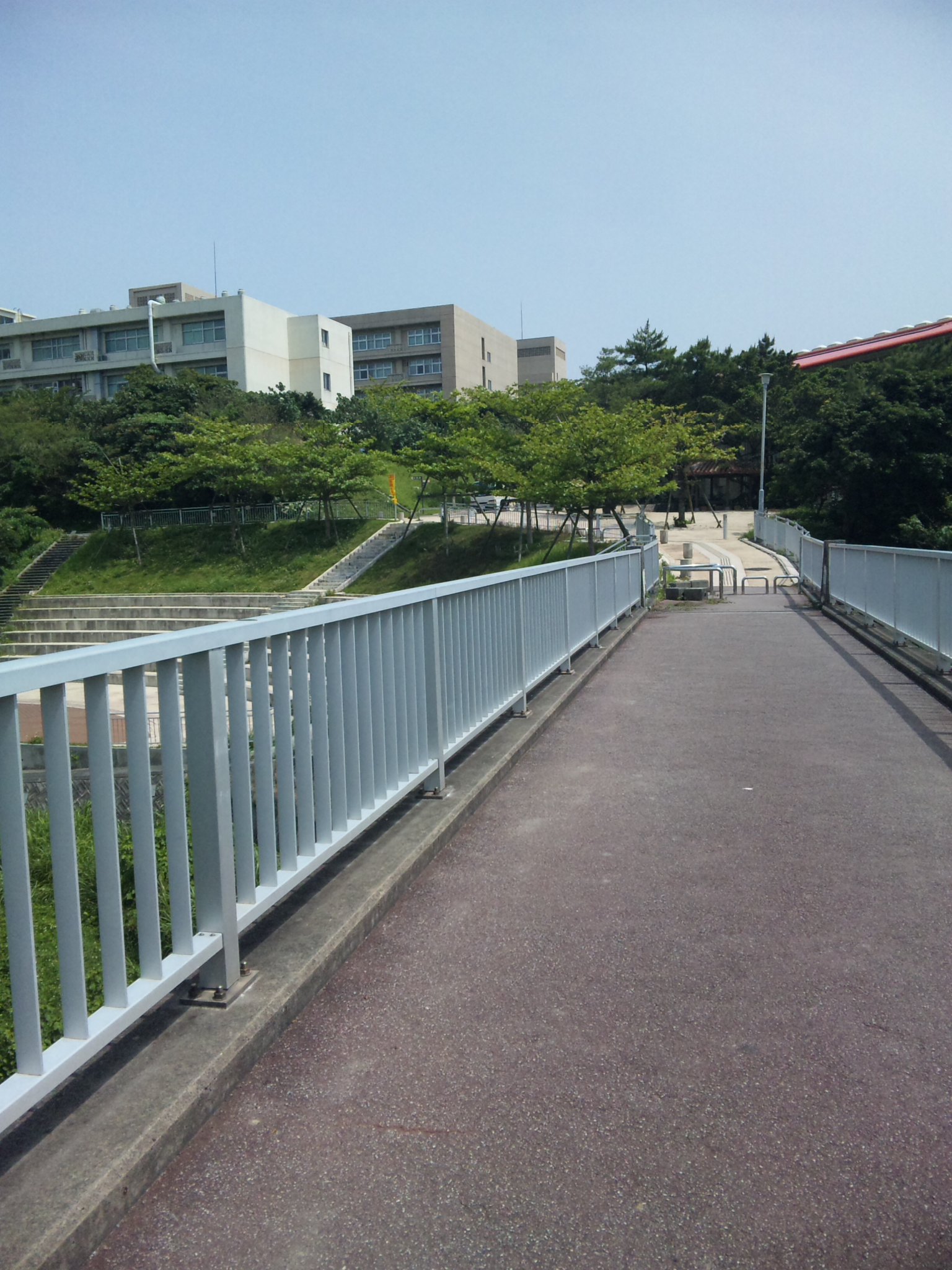 e0095502_23533839.jpg