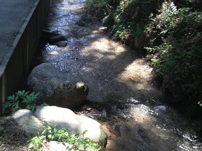 f0082402_18384917.jpg