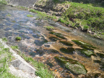 f0082402_18435757.jpg