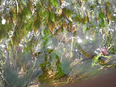 f0082402_18443972.jpg