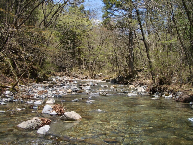b0172805_3141447.jpg