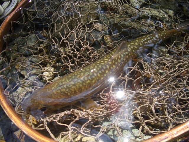 b0172805_3171211.jpg