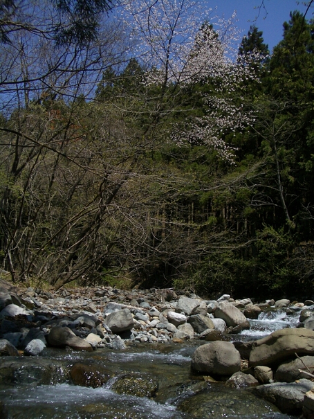 b0172805_3174816.jpg