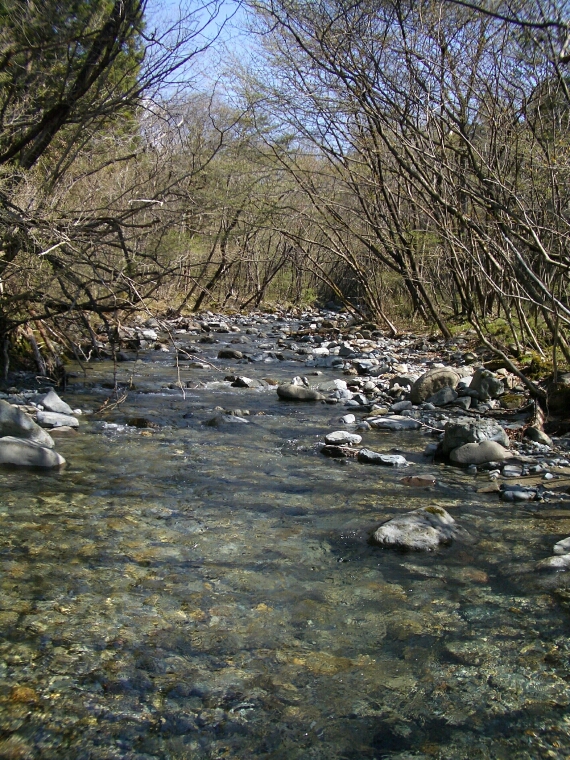 b0172805_373193.jpg