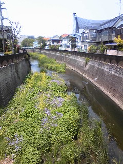 c0197505_23244530.jpg