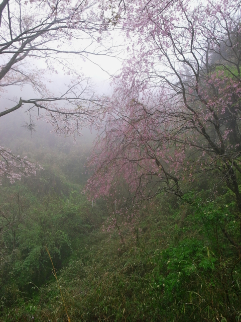 c0217406_12463647.jpg