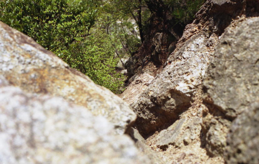 d0071507_21275749.jpg