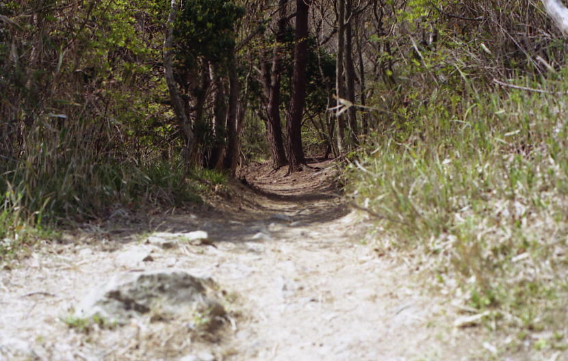 d0071507_21291483.jpg