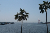 f0221708_2257252.jpg