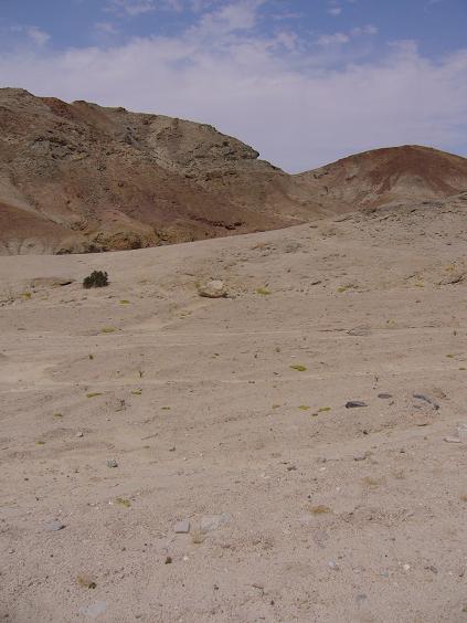 b0112909_2313483.jpg