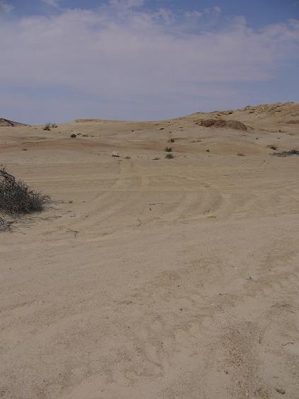 b0112909_2314060.jpg