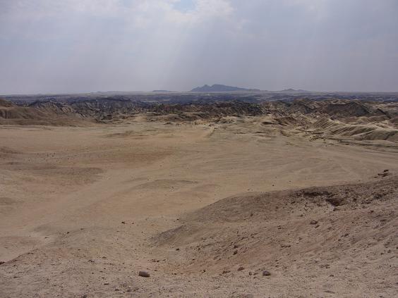 b0112909_238576.jpg