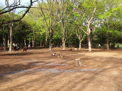 a0096015_16442125.jpg