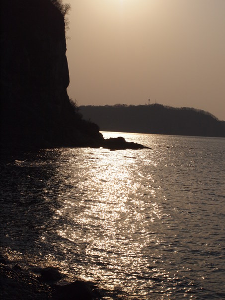 e0113915_8461483.jpg